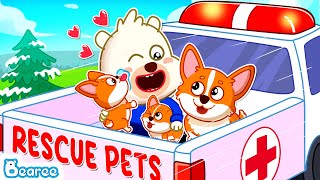 Bearee Tales 🐾 Good Kid Bearee Takes Puppy Family to Pets Rescue Center  Puppy Cartoon for Kids [upl. by Jacklin]