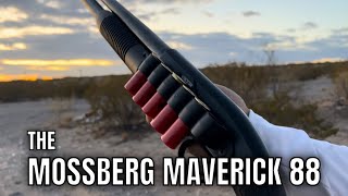 Gun Review Mossberg Maverick 88  Best Budget 12 Gauge [upl. by Fredel]