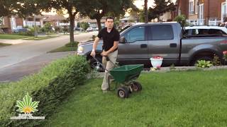 Toronto Fertilizing Lawn [upl. by Ariamat]