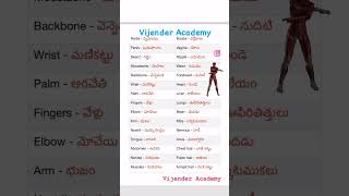 Daily use english words  telugu to english [upl. by Brag]