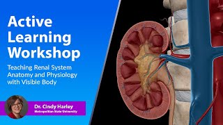 Active Learning Workshop Teaching Renal System Anatomy amp Physiology with Visible Body [upl. by Cort]