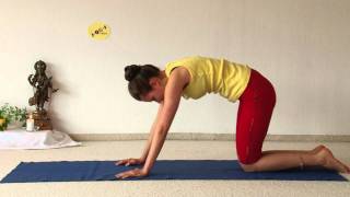 Royal Cobra  Advanced Yoga Asana Bhujangasana [upl. by Aivuy]