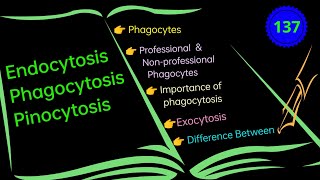 Endocytosis Phagocytosis and Pinocytosis EnteMicrobialWorld microbiology biology microbes yt [upl. by Fulbert688]