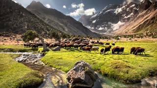 Pamir Documentary Campaign Video [upl. by Lawtun156]