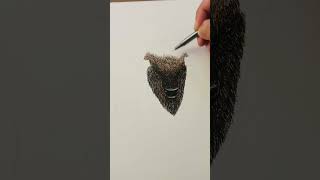 Drawing thick matted fur on the bison head [upl. by Akenom]