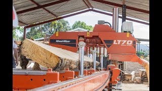 WoodMizer LT70 Sawmill Grows South African Farm Income [upl. by Maurine649]