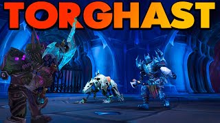 GUÍA de TORGHAST Todo lo que Debes Saber  WOW SHADOWLANDS [upl. by Acirtal]