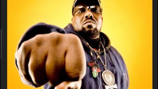 WHAT IS AFRIKA BAMBAATAAS CONTRIBUTIONS TO HIP HOP CULTURE [upl. by Scheck300]