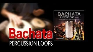 Professional Bachata Percussion Loops Bachata Urbana Vol 1 by Producers Vault [upl. by Nyrehtac930]