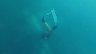 FreeDiver RN  Coral Beds in Dauis [upl. by Whale]