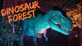 Dinosaur forest Maya and Filip [upl. by Attoynek350]