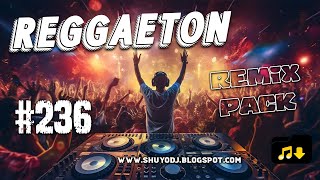 Reggaeton Remix Pack 236 [upl. by Simson]