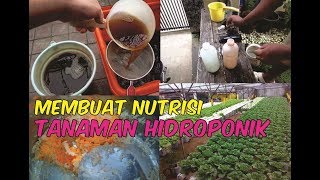 Cara Membuat Nutrisi Tanaman Hidroponik Menggunakan Nasi Basi Dengan Mudah [upl. by Roxanna881]