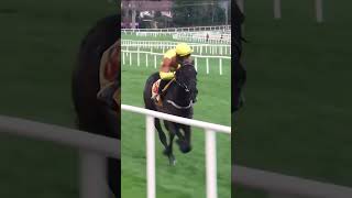 Galopin Des Champs ❤️ horse horseracing racingtv sport britishhorseracing [upl. by Atirihs]