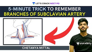 Easy Trick to Remember Branches of Subclavian Artery  Anatomy  NEET PG  Chetanya Mittal [upl. by Sirovart415]