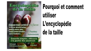 Verger Comment devenir un expert de la taille des arbres fruitiers facilement [upl. by Ettolrahs171]