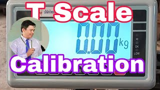 T ScaleCalibration [upl. by Ulises314]