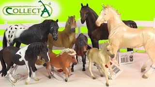 CollectA Horses Mare Foal Pony Stallion Horse Unboxing Review Video HoneyheartsC [upl. by Steel180]