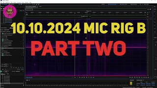 Spectrogram Analysis of Overnight Audio Recording from 10102024 Mic Rig B Part Two [upl. by Erdnaxela698]