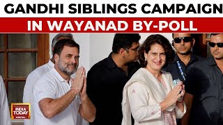 Wayanad ByPolls Priyanka Gandhi Attacks PM Modi Rahul Gandhi Supports In Wayanad Campaign [upl. by Nelyaw]