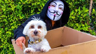 HACKER STEALS PUPPY 😱 PROJECT ZORGO [upl. by Frech]