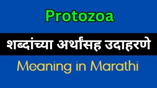 Protozoa Meaning In Marathi  Protozoa explained in Marathi [upl. by Sokem]