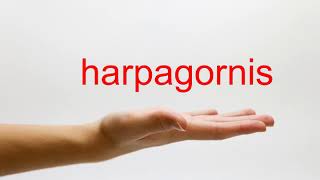 How to Pronounce harpagornis  American English [upl. by Haswell]