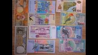 Банкноты мира  Коллекция Суринама  Suriname banknotes collection collection collectingcurrency [upl. by Gayl229]