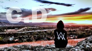 Alan Walker  Dreamer  House  FLSTUDIO EDIT [upl. by Rior]