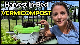 StepbyStep Guide to Harvesting Compost from an InBed Vermicompost System [upl. by Lertnahs]