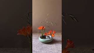 Miniata Flower Arrangement A Vibrant and Elegant Display [upl. by Yves]