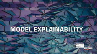 Model Explainability in Fraud Prevention [upl. by Drarehs]