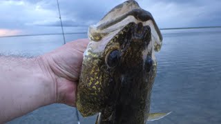 2024 season opener pike and walleye catches [upl. by Gnof679]