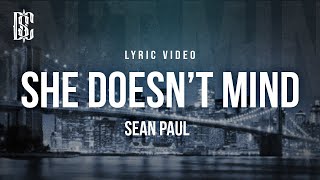 Sean Paul  She Doesnt Mind  Lyrics [upl. by Sinoda]