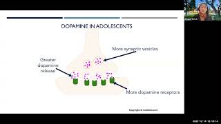 The Attributes of the Adolescent Reward System [upl. by Connelley]