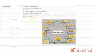 Consider the following 1 Succinic dehydrogenase 2 Aconitase 3 alphaketoglutarate [upl. by Feriga]