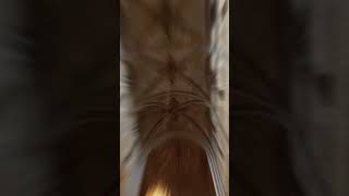 Uppsala domkyrka sweden travel friendship summer [upl. by Eilloh38]