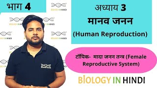 अध्याय 3 भाग 4 मानव जनन  Chapter 3 Human reproduction  Biology In Hindi for Board and NEET [upl. by Tait463]