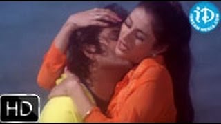 Om Namami Andamma Song  Aavida Maa Aavide Movie  Nagarjuna  Tabu  Heera Raagopal [upl. by Auehsoj978]