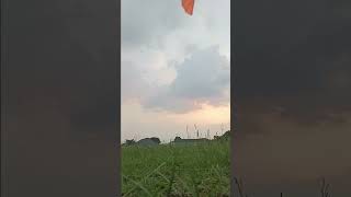 RC ornithopter test flight [upl. by Kennie774]