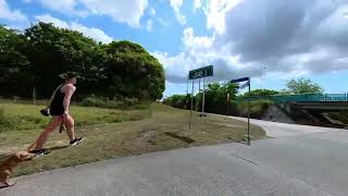 Kedron Brook Bikeway to Brisbane Airport [upl. by Vanden29]