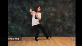 Tai Chi Moves  Free Tai Chi Online Lessons  Moves 4 5 and 6 [upl. by Magnus]