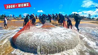 Wow Record Breaking 2000Kg Of Fish Caught In Seine Net Fishing [upl. by Einama]