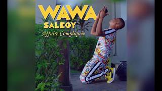 Wawa Salegy  Affaire Compliquée  audio [upl. by Nivlek]