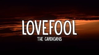 The Cardigans  Lovefool Lyrics  1 Hour Version [upl. by Oirramaj]