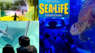 National Sea Life Centre Birmingham Complete Tour [upl. by Odlo]