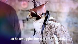 quotThe Falconers Apprenticequot by Malve von Hassell  Book Trailer [upl. by Sinaj]