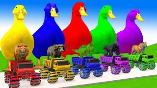 cow elephant Sher Gorilla hathi dinosaur wala cartoon funny cartoon pink colour cartoon animation [upl. by Crompton527]