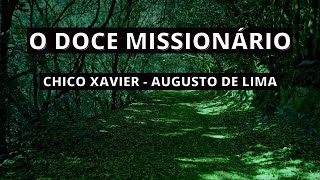 O Doce Missionário  Mensagem do Livro Parnaso de Além Túmulo  Inspirações Espíritas [upl. by Larena]