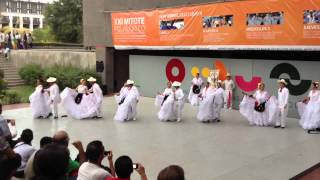 Ballet Folklórico CitlaliVeracruz Sotavento El colas [upl. by Ecnerrot]